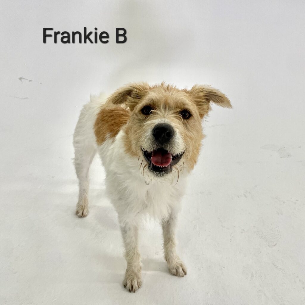 Frankie B